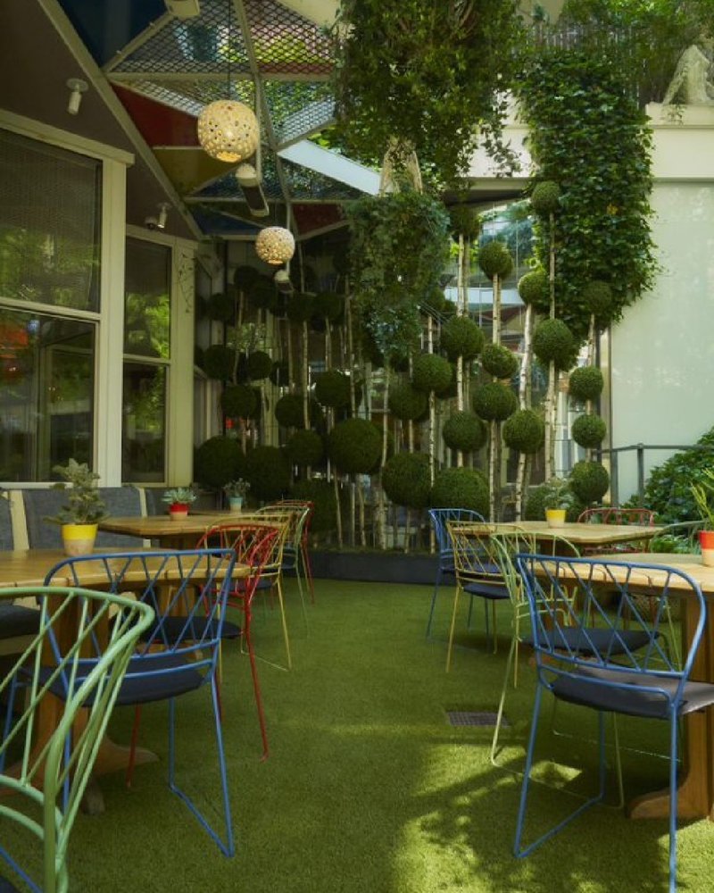 Photo of SYNLawn New York