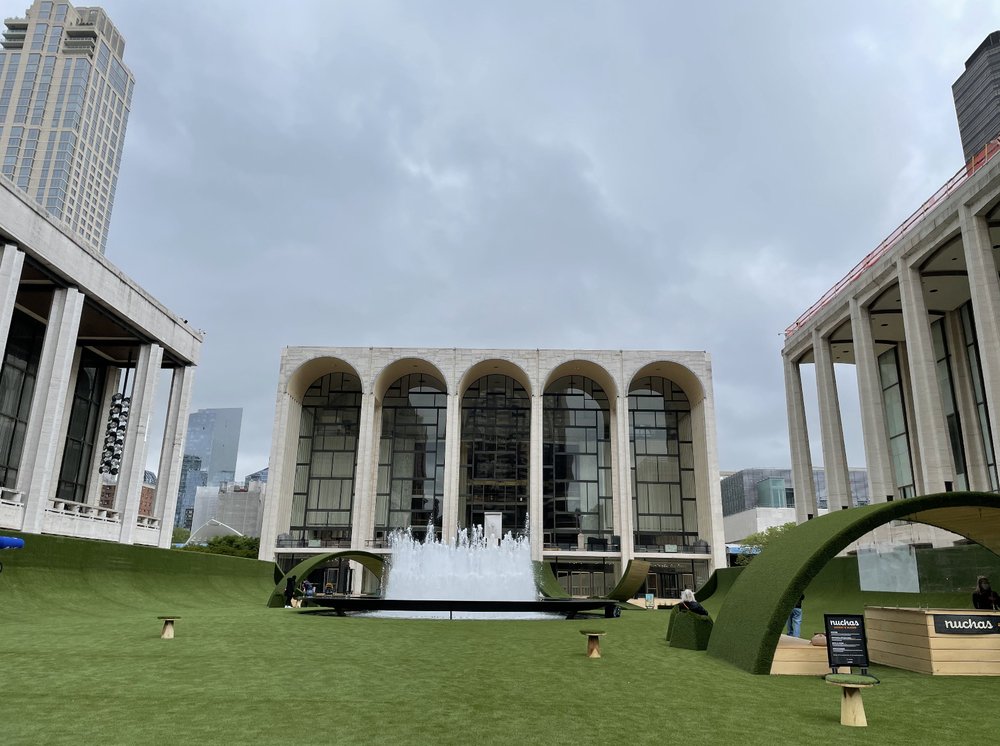 Photo of SYNLawn New York