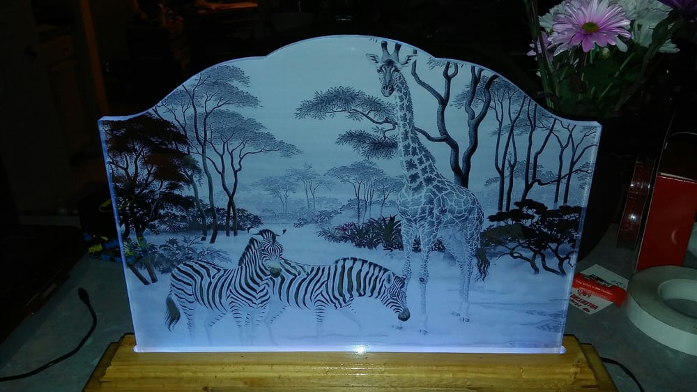 Photo of Frosted Images