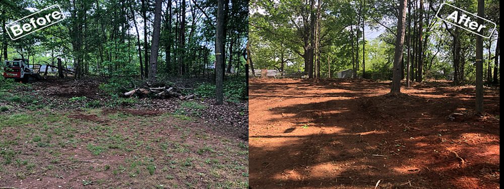 Photo of Sea Forestry Grading & Mulching