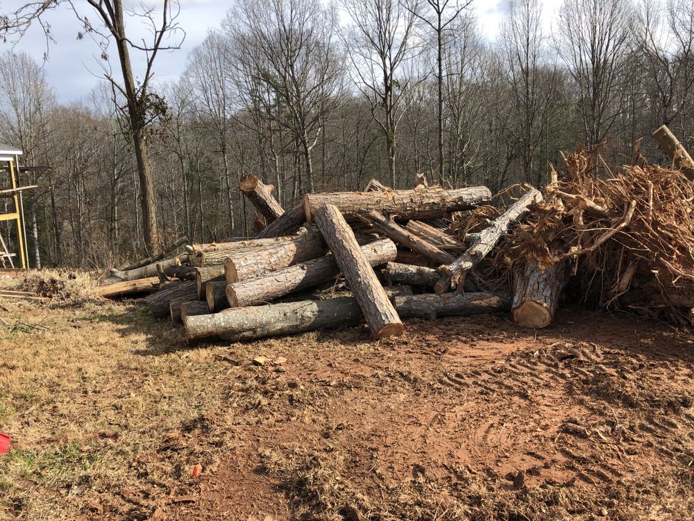 Photo of Sea Forestry Grading & Mulching