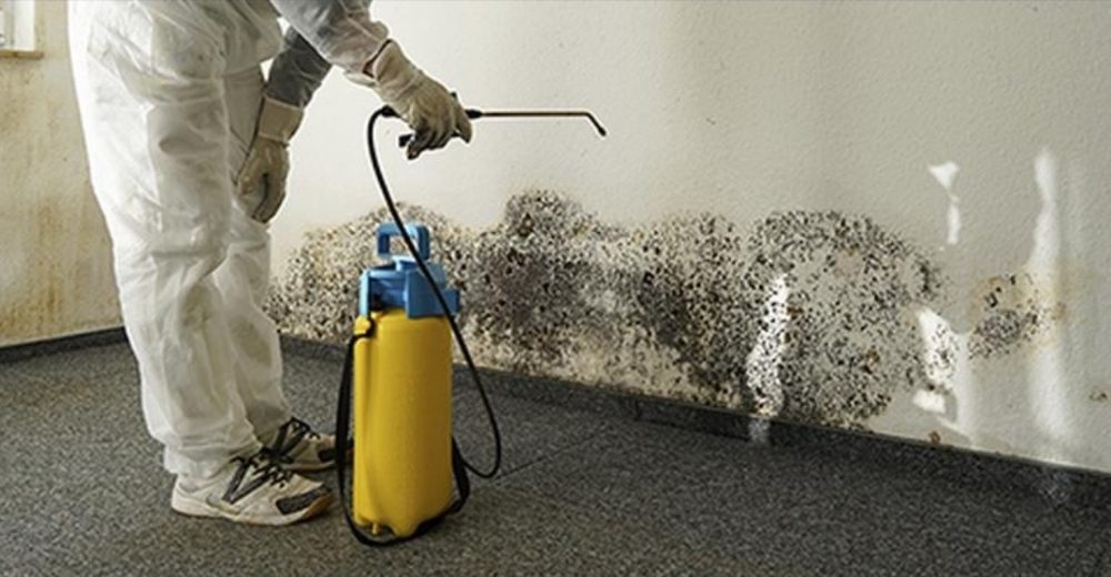 Photo of QC Environmental Services