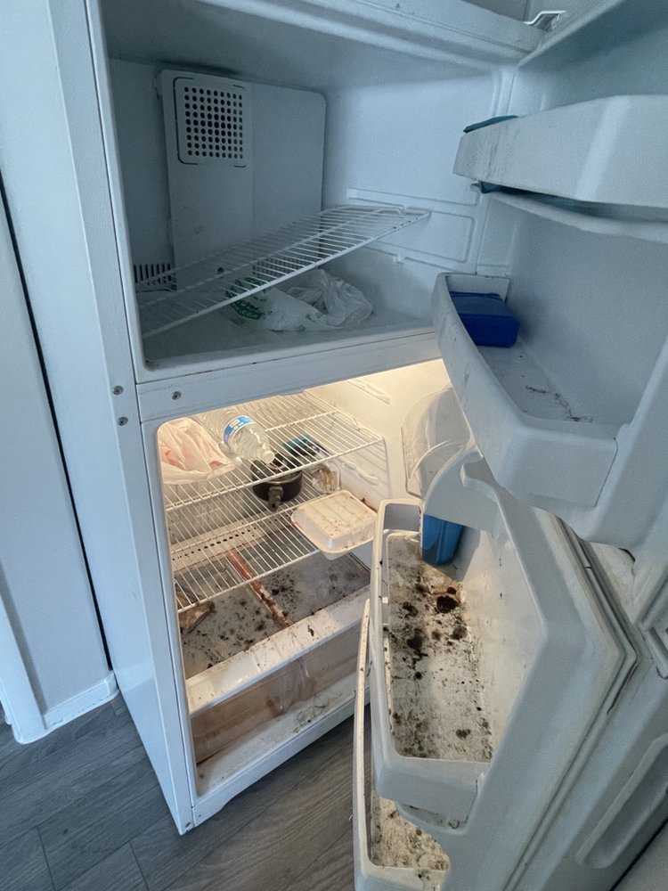 Photo of Cleaning An Services