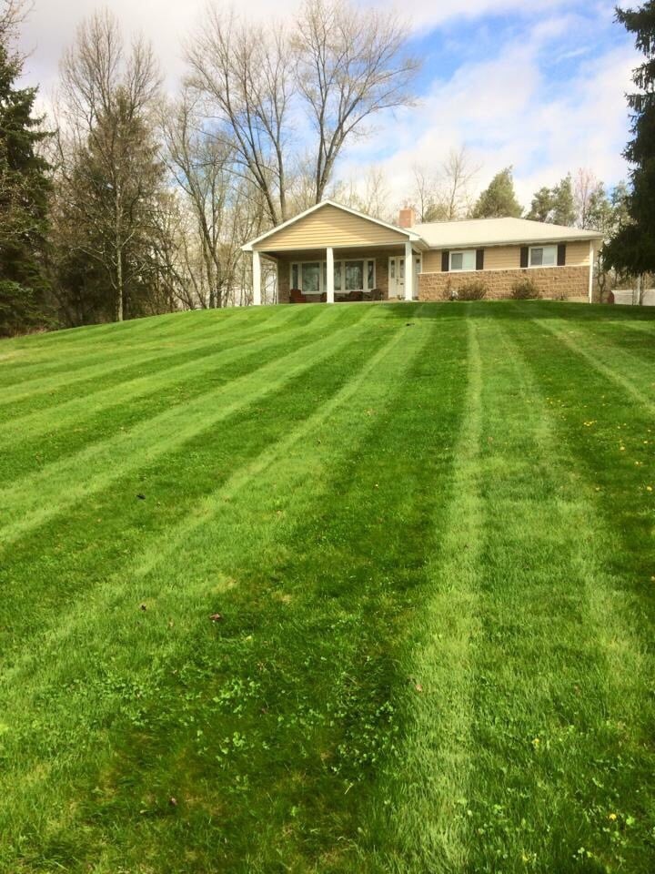 Photo of Purcell Lawn and Landscape