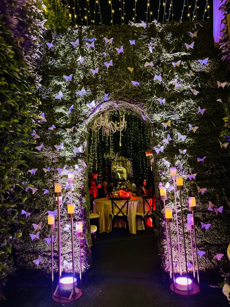 Photo of The Secret House of Ivy