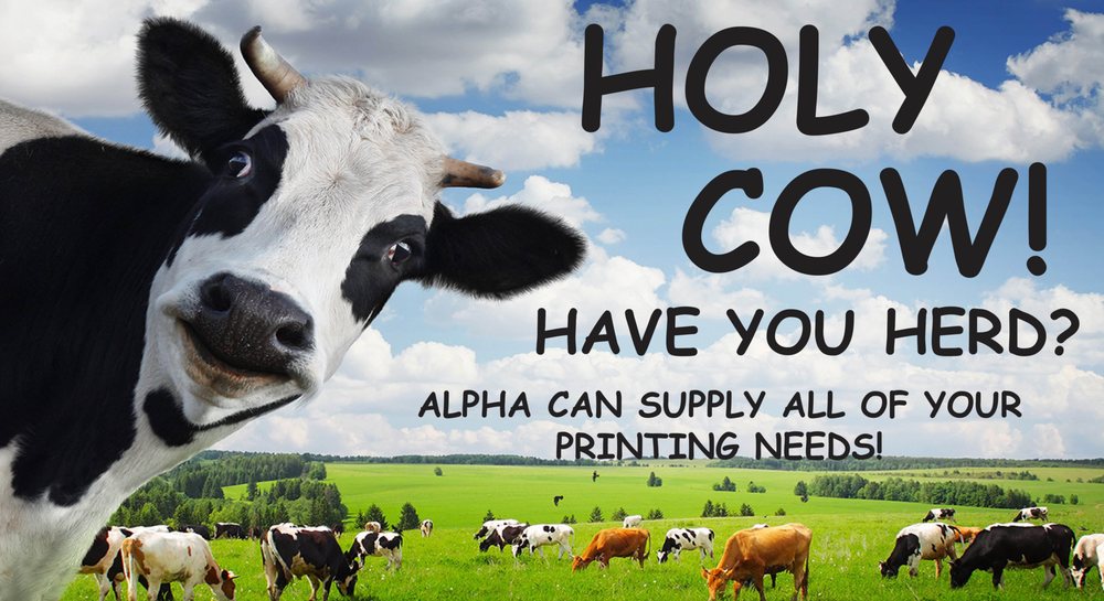 Photo of Alpha Printing & Mailing