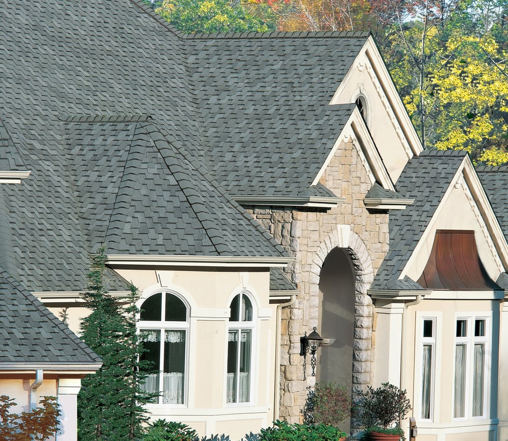 Photo of Maximum Roof Care