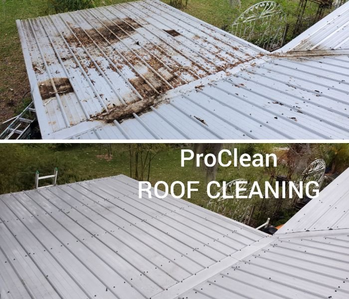 Photo of ProClean Pressure Washing of Royal Oak