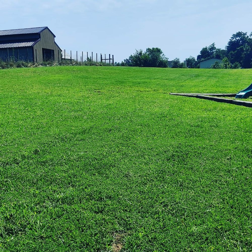 Photo of T&A Home & Lawn