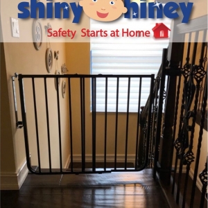 Photo of Shiny Hiney