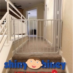 Photo of Shiny Hiney
