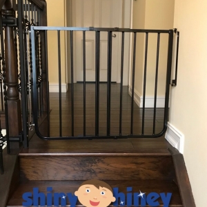 Photo of Shiny Hiney