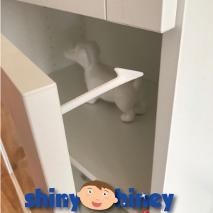 Photo of Shiny Hiney