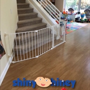 Photo of Shiny Hiney