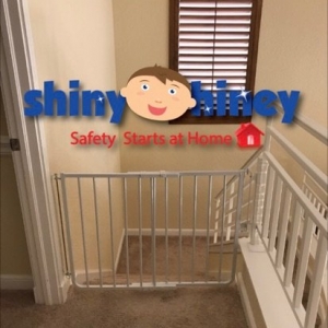 Photo of Shiny Hiney