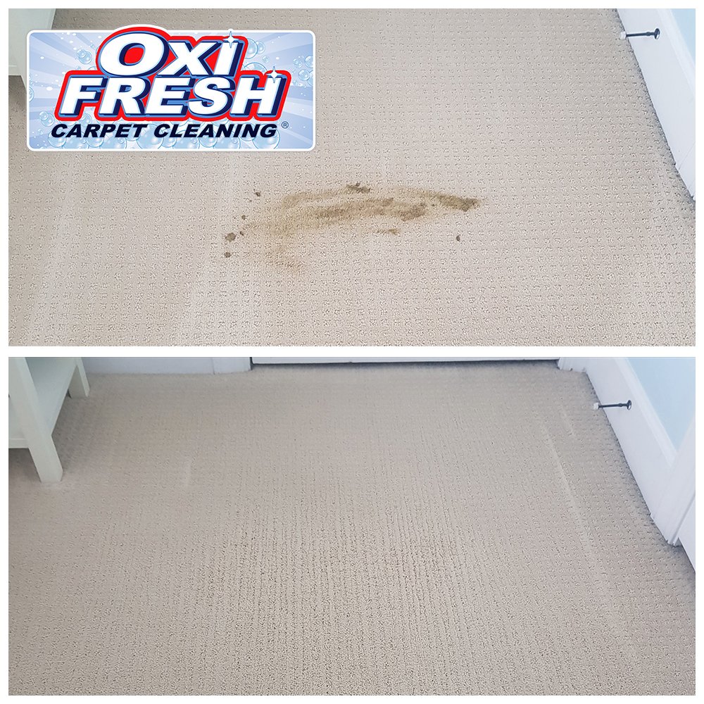 Photo of Oxi Fresh Carpet Cleaning