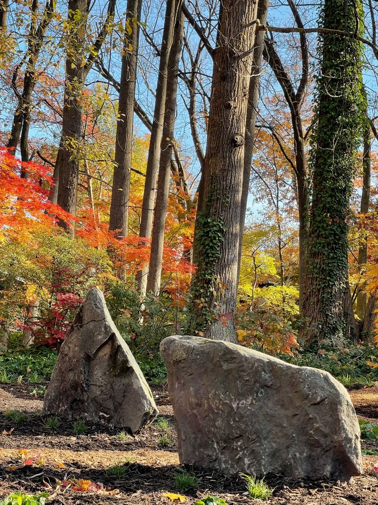 Photo of Native Roots Landscaping