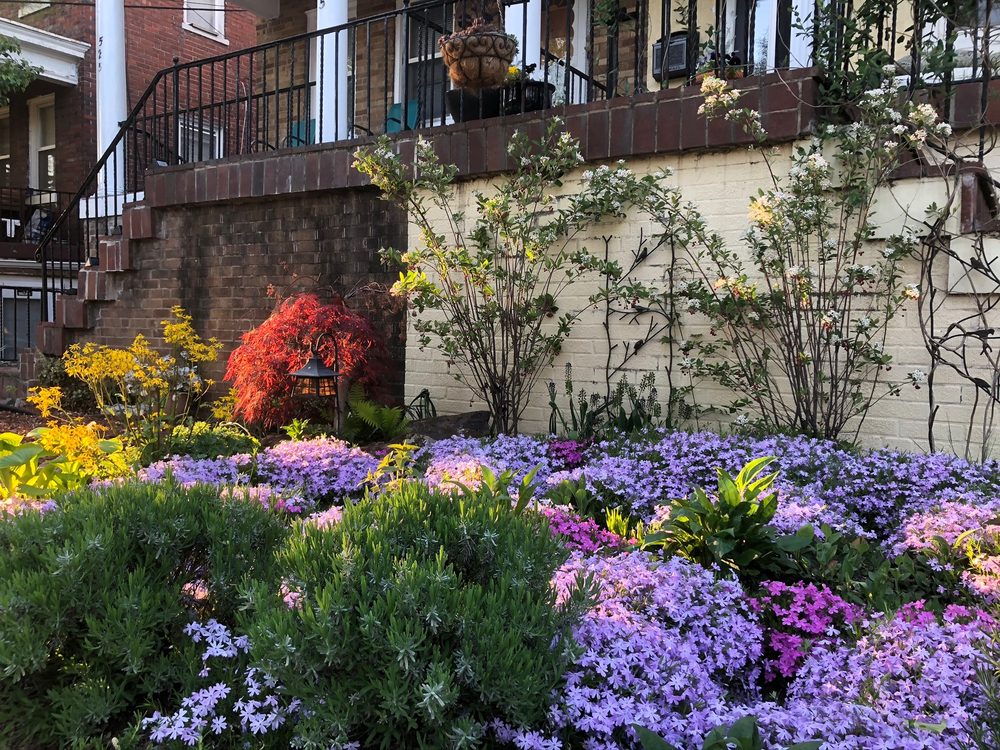 Photo of Native Roots Landscaping