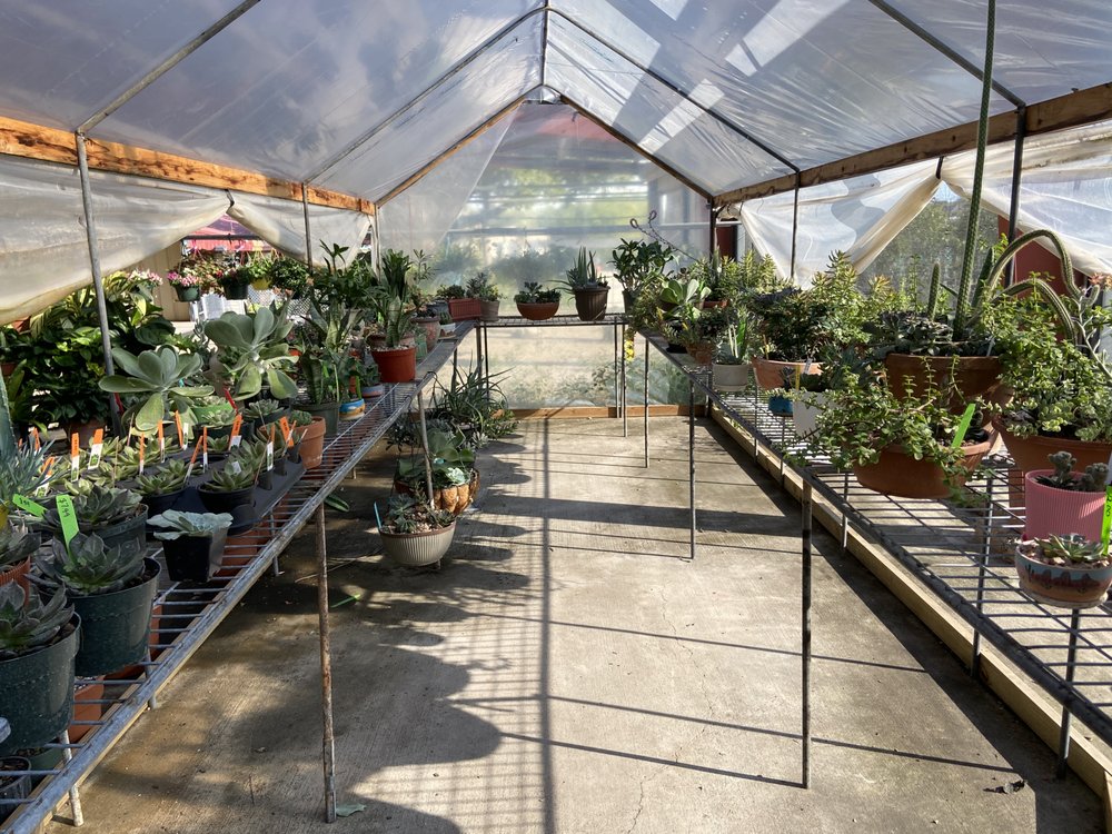 Photo of Maldonaldo Landscape & Irrigation