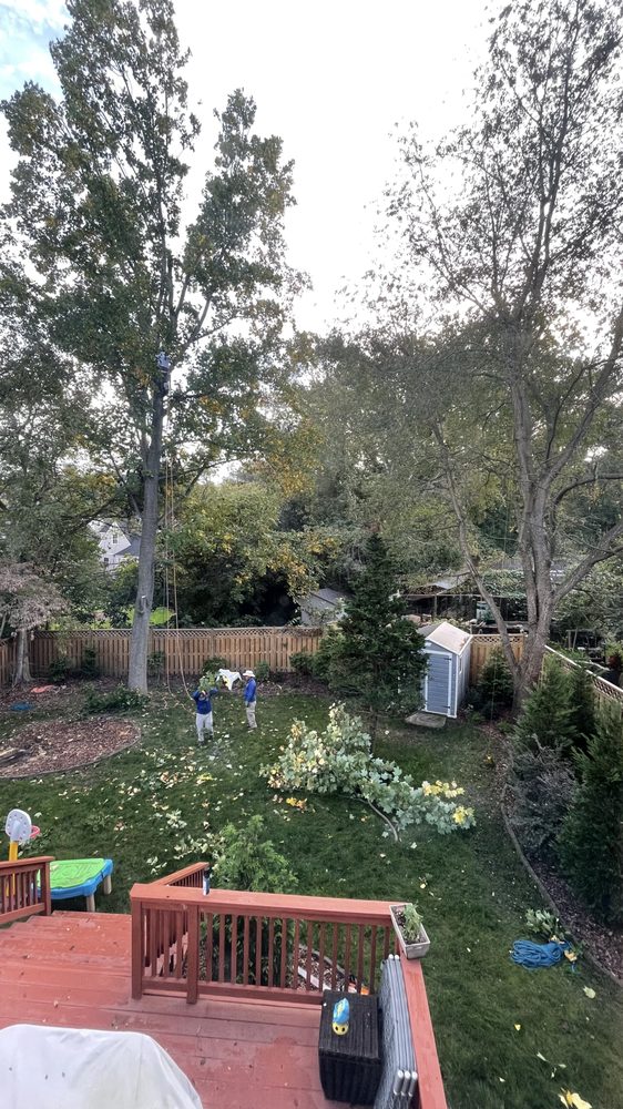 Photo of Torres Landscaping