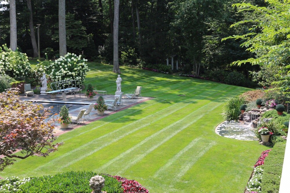 Photo of Torres Landscaping
