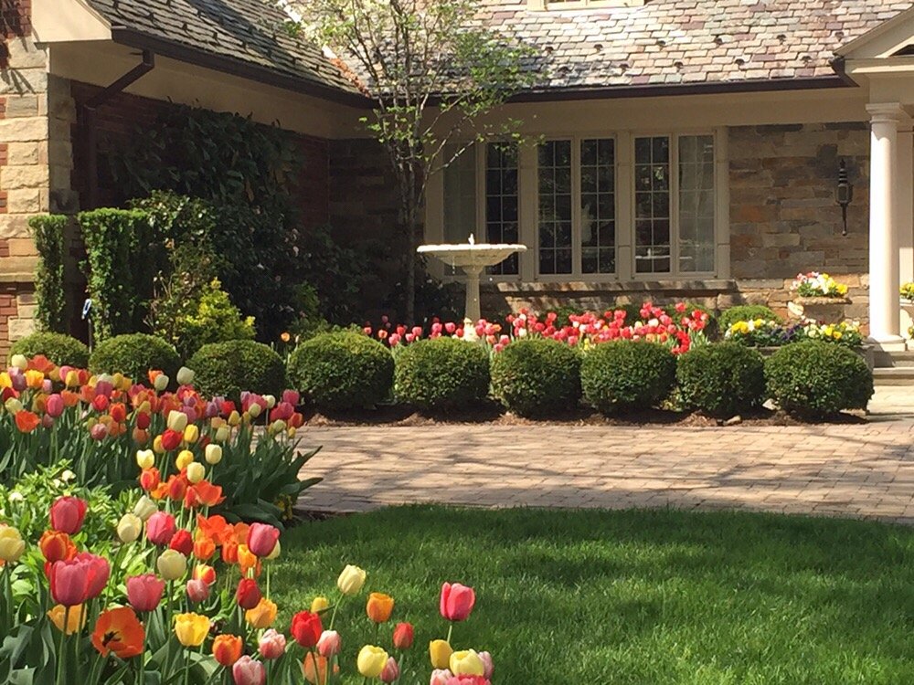 Photo of Torres Landscaping