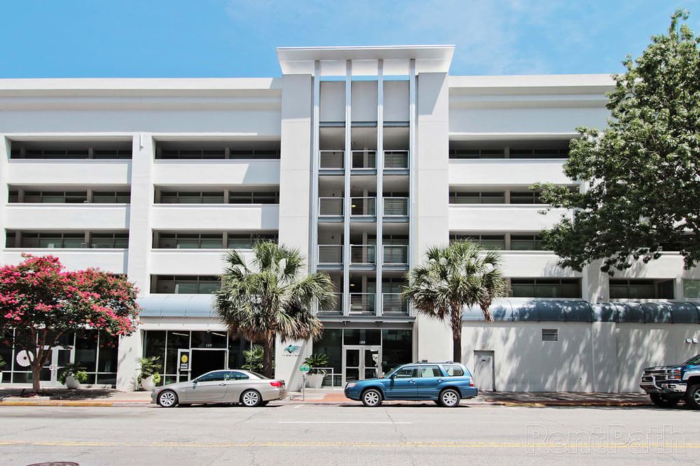 Photo of Palms on Main