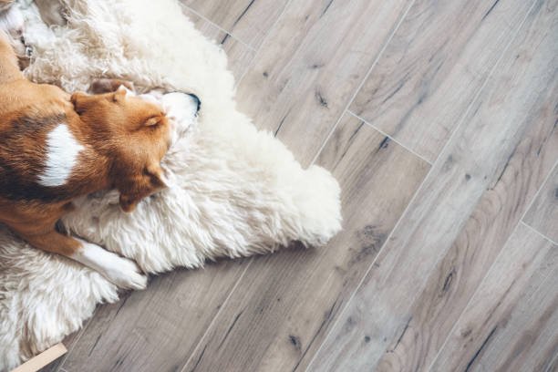 Photo of Temple Johnson Flooring