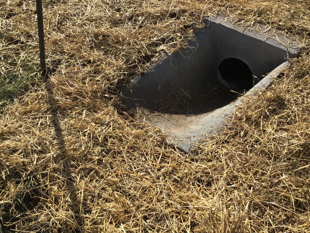 Photo of ASAP Drainage and Foundation