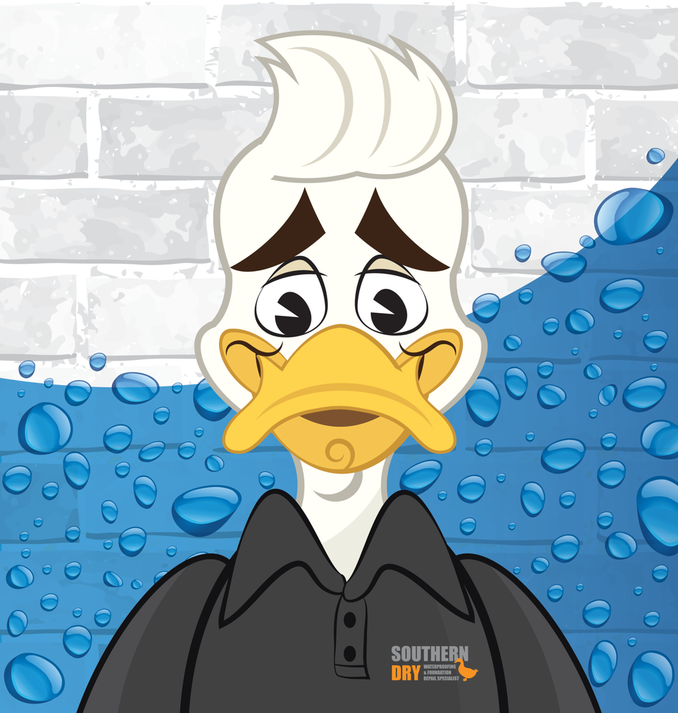 Photo of Southerndry Waterproofing & Foundation Repair Specialist