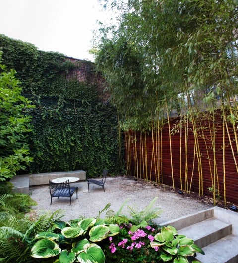 Photo of Holly, Wood and Vine