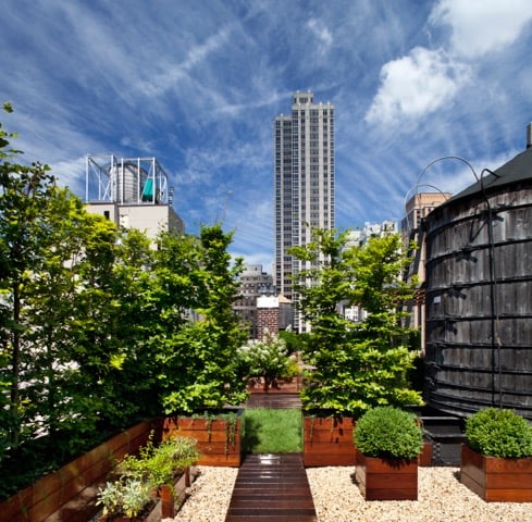 Photo of Holly, Wood and Vine