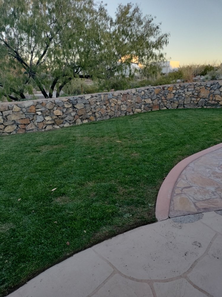 Photo of All 4 You Landscaping & More