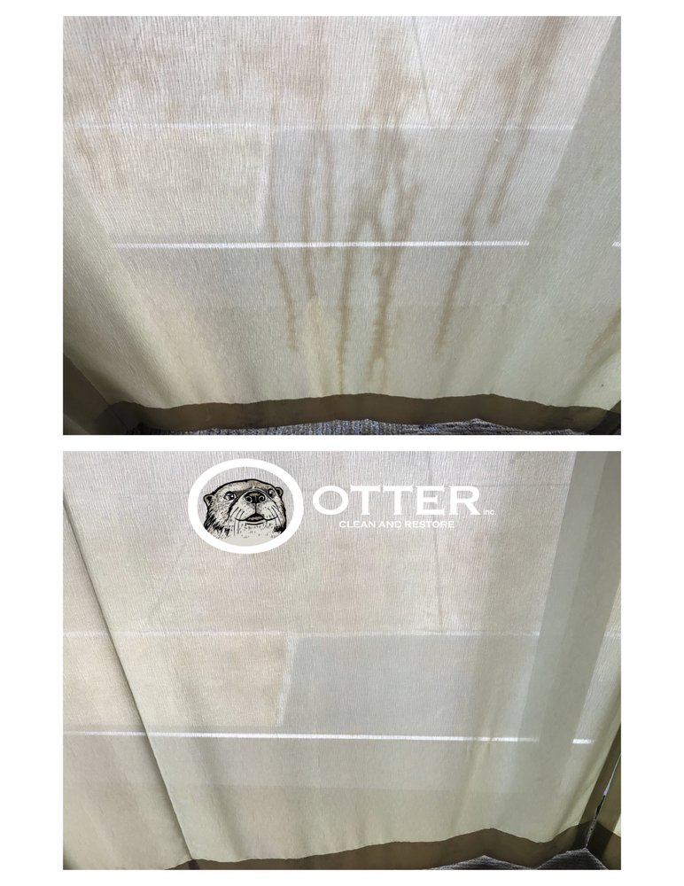 Photo of Otter Clean and Restore