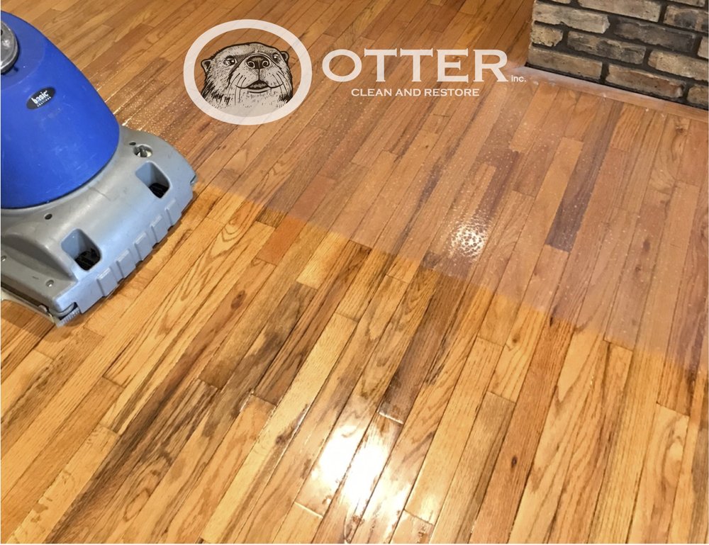 Photo of Otter Clean and Restore