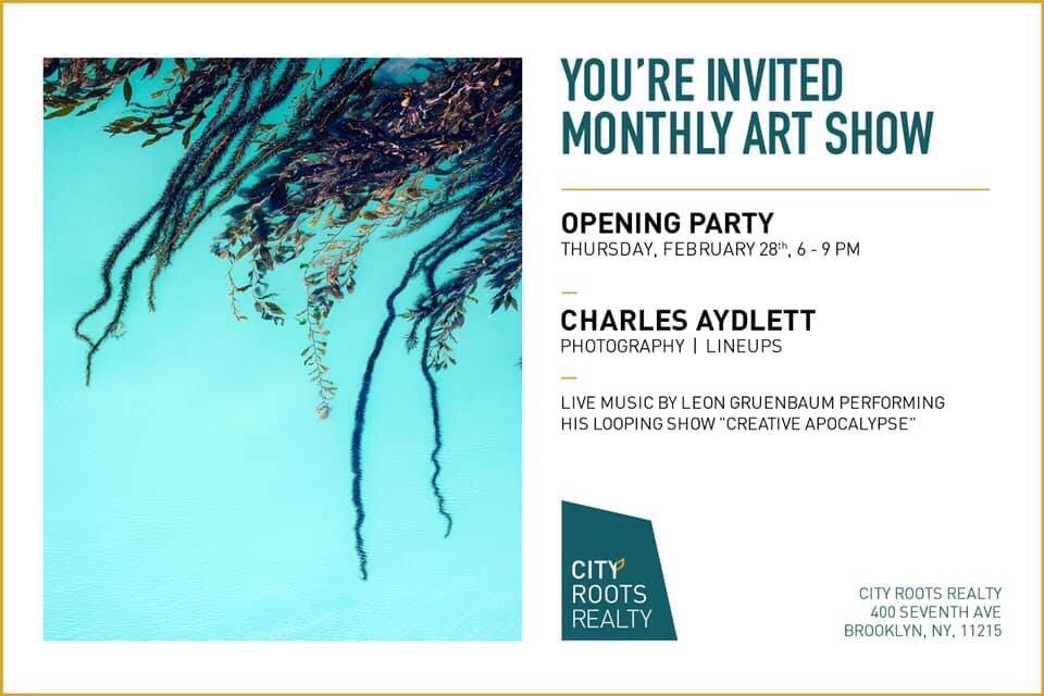 Photo of City Roots Realty
