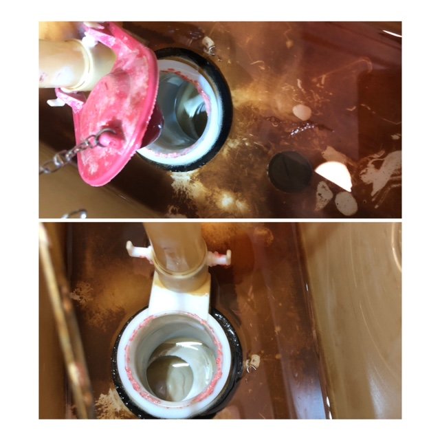 Photo of Tiptop Plumbing Services, Inc.