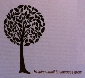 Photo of DeFanti Consulting for Small Businesses