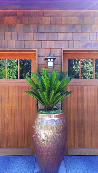Photo of The Interior Foliage Company