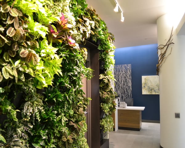 Photo of The Interior Foliage Company