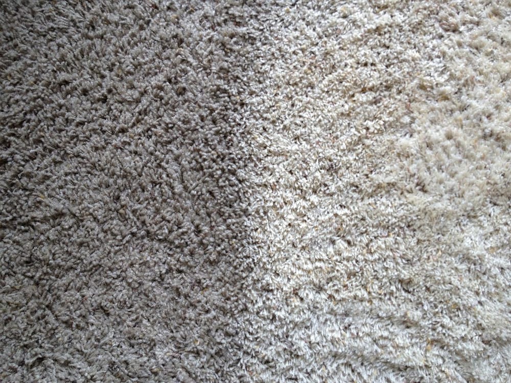 Photo of Premier Carpet Care & Water Damage Restoration