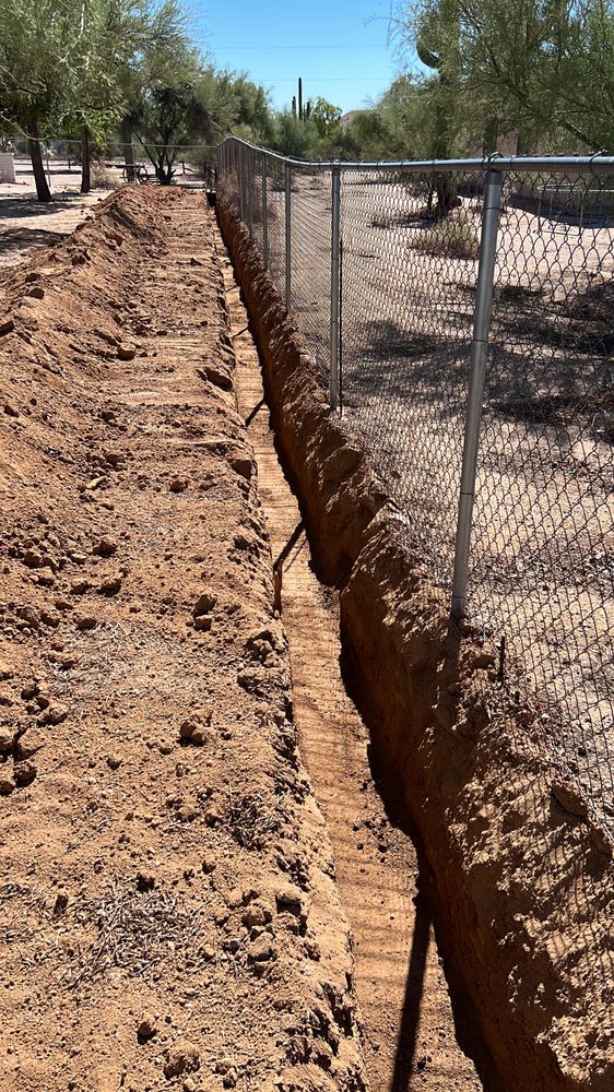 Photo of Wild Donkey Constuction