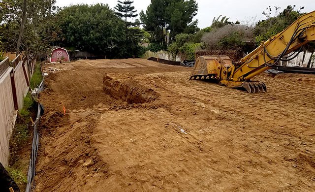 Photo of Wild Donkey Constuction