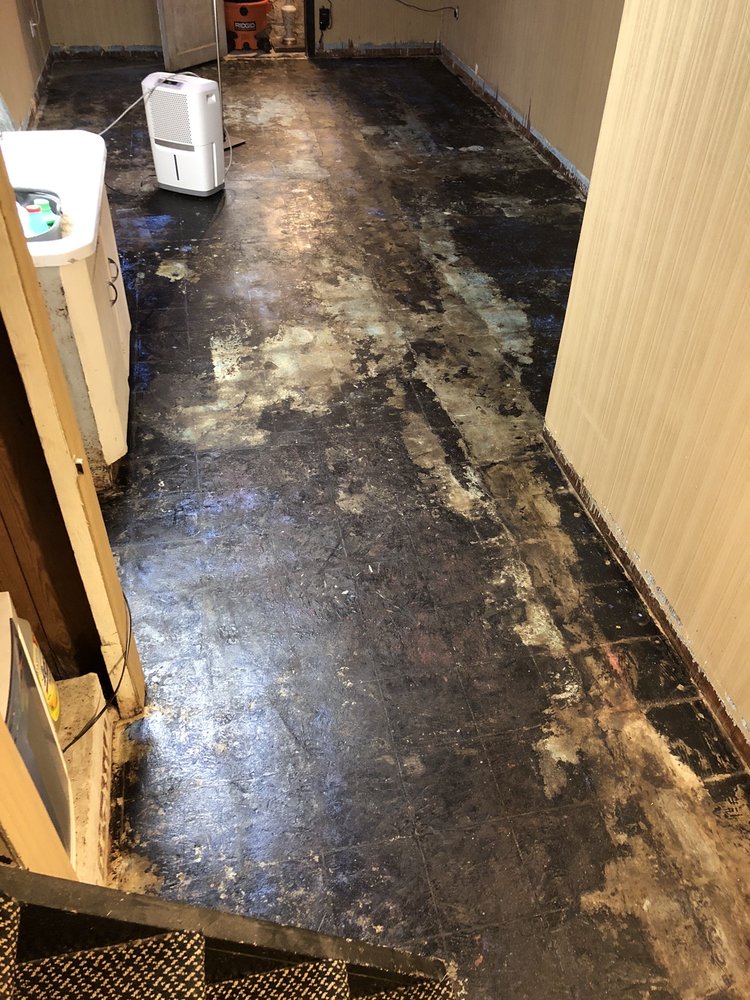 Photo of Sid Hall Floors