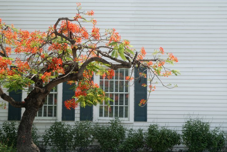 Photo of Smith Siding and Windows