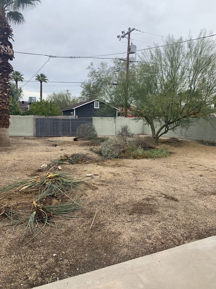 Photo of Treetop Landscaping