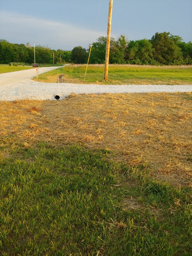 Photo of Carlton Dirt Work