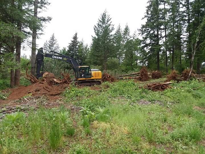 Photo of Coogan Excavation & Logging