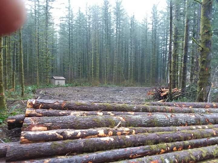 Photo of Coogan Excavation & Logging