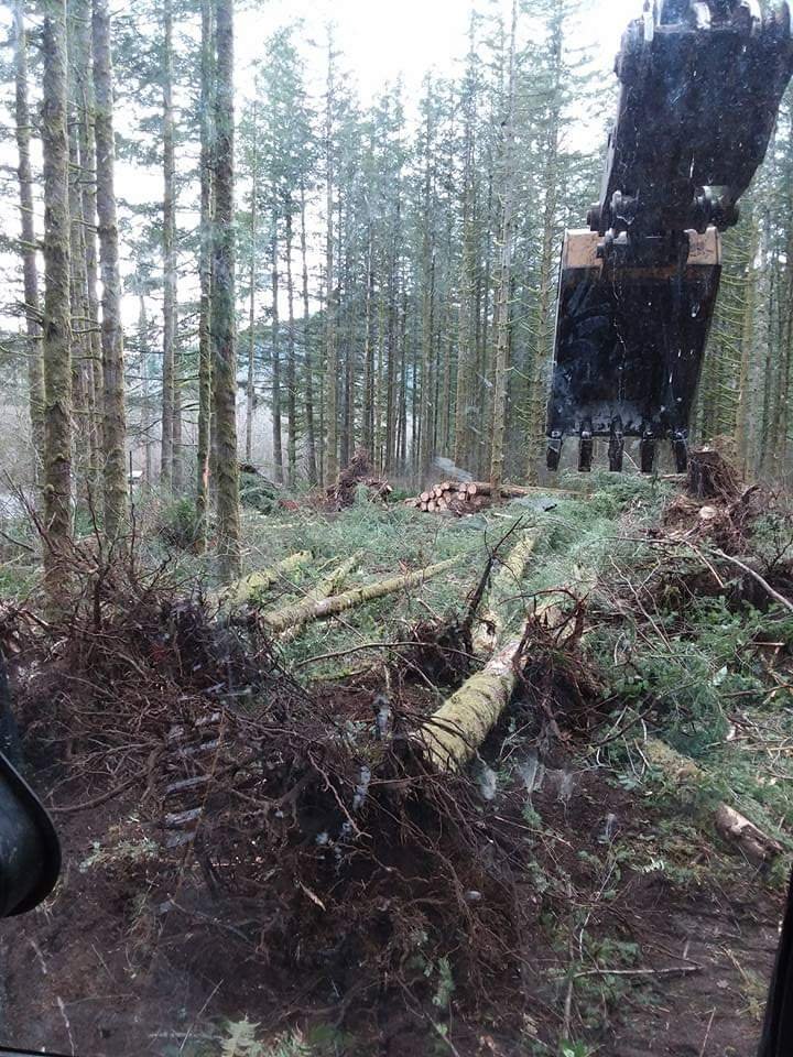 Photo of Coogan Excavation & Logging